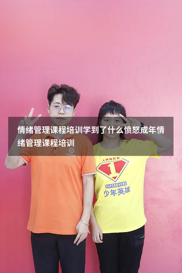 情绪管理课程培训 学到了什么愤怒（成年情绪管理课程培训）